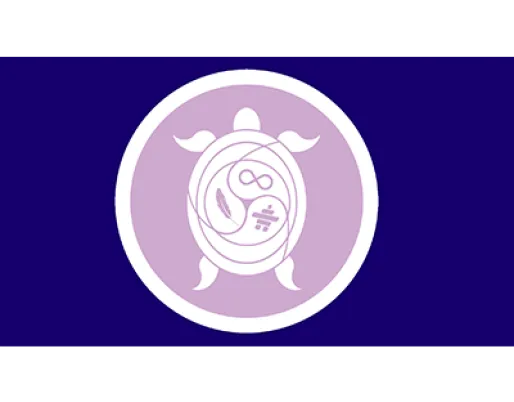 icon showing turtle with Indigenous symbols